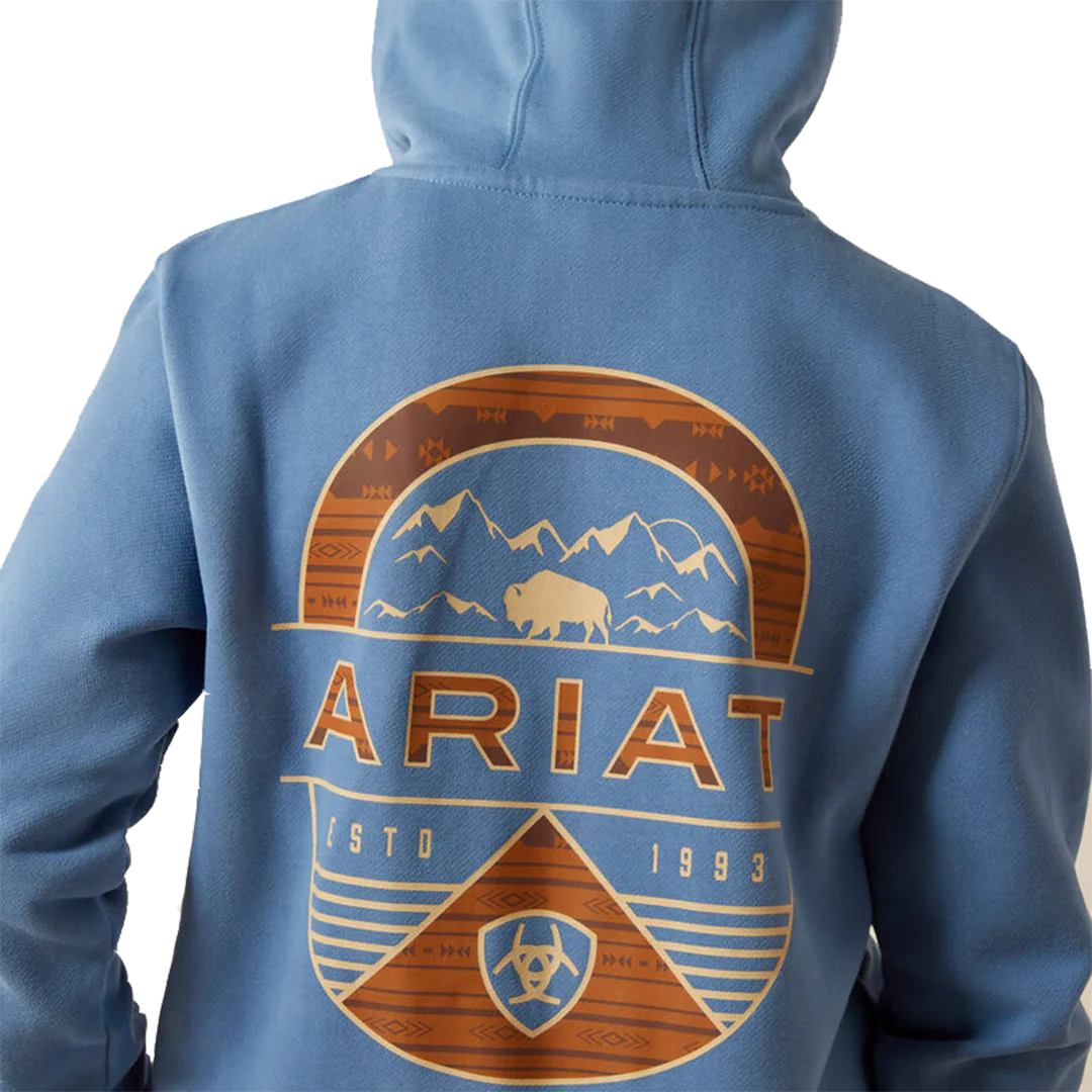 Ariat Boys' Sun Valley Circle Hoodie - Image 3