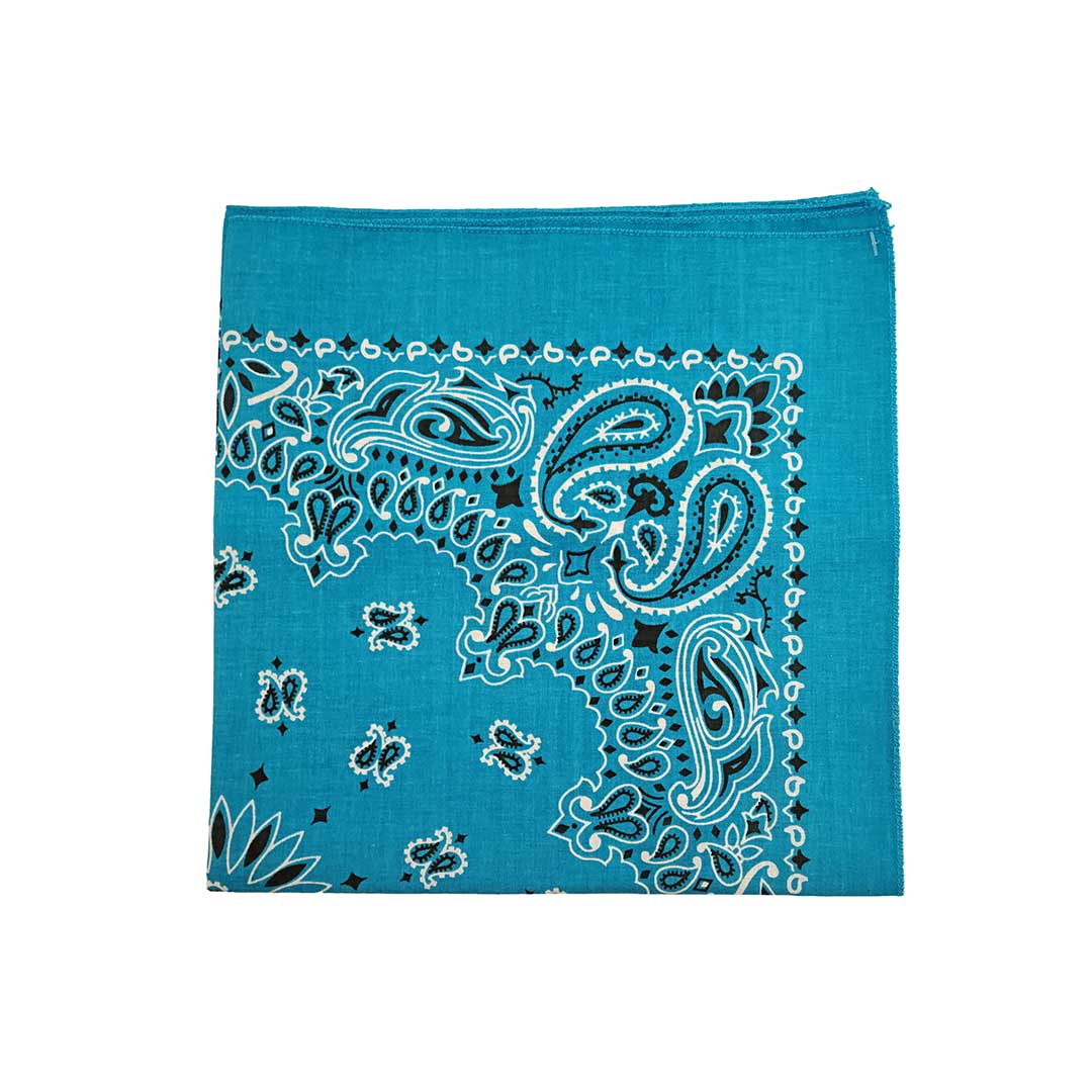 Austin Accent Paisley Print Bandana - Image 3