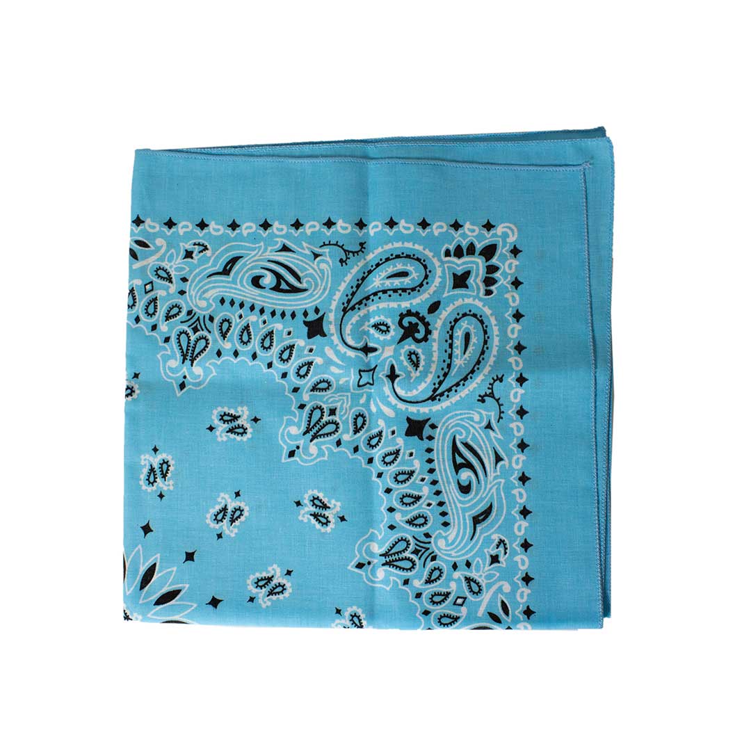 Austin Accent Paisley Print Bandana - Image 4