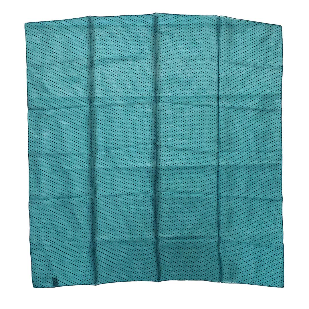 Austin Accent Polka Dot Wild Rag - Image 2