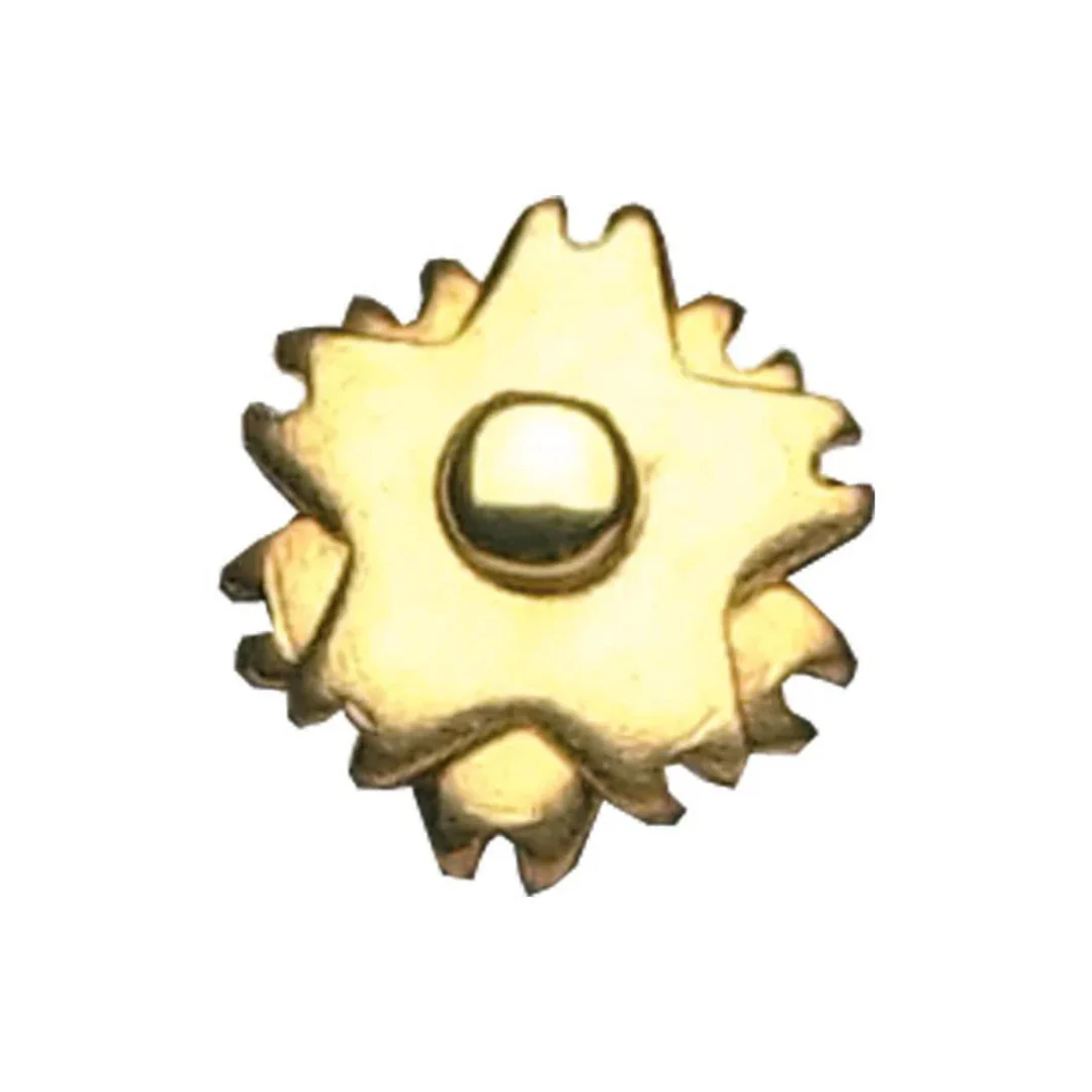 Colorado Saddlery 1" 5 Point Rowels