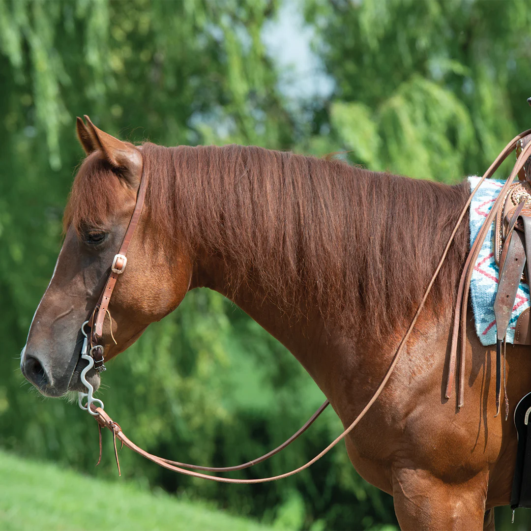 Weaver ProTack Headstall with Designer Hardware - Image 3