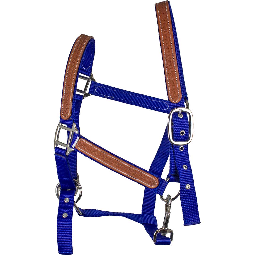 True North Trading Basketweave Accent Nylon Halter - Image 2