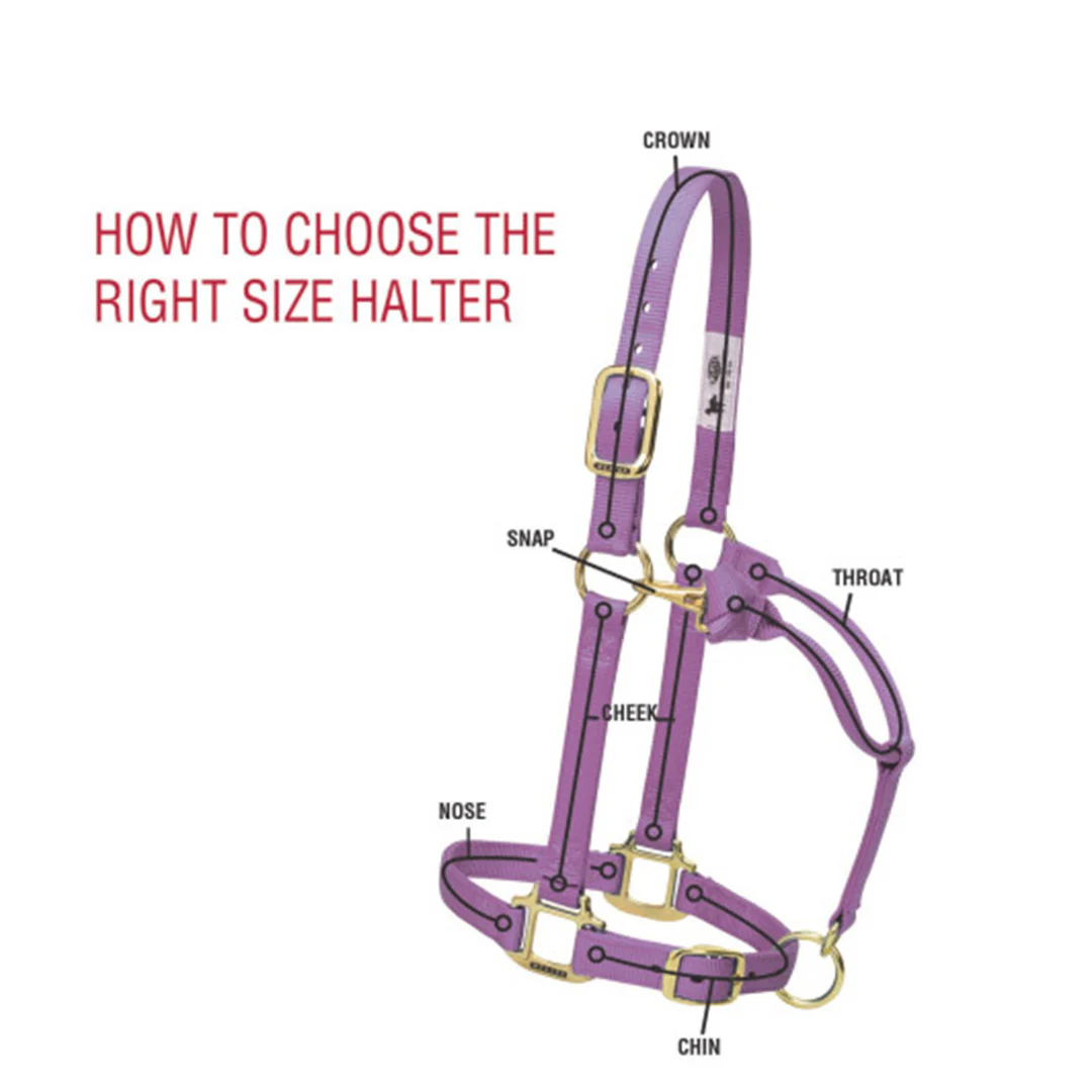 Weaver Original Adjustable Chin And Throat Snap Halter, 1" Draft - Image 2
