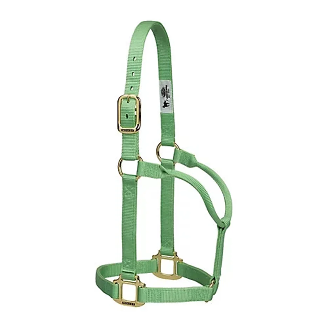 Weaver Original  Non-Adjustable Halter, 1" - Image 2