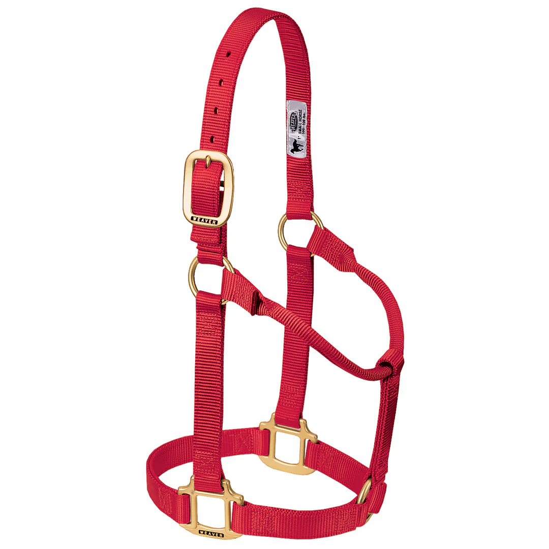 Weaver Original Non-Adjustable 3/4" Pony Halter