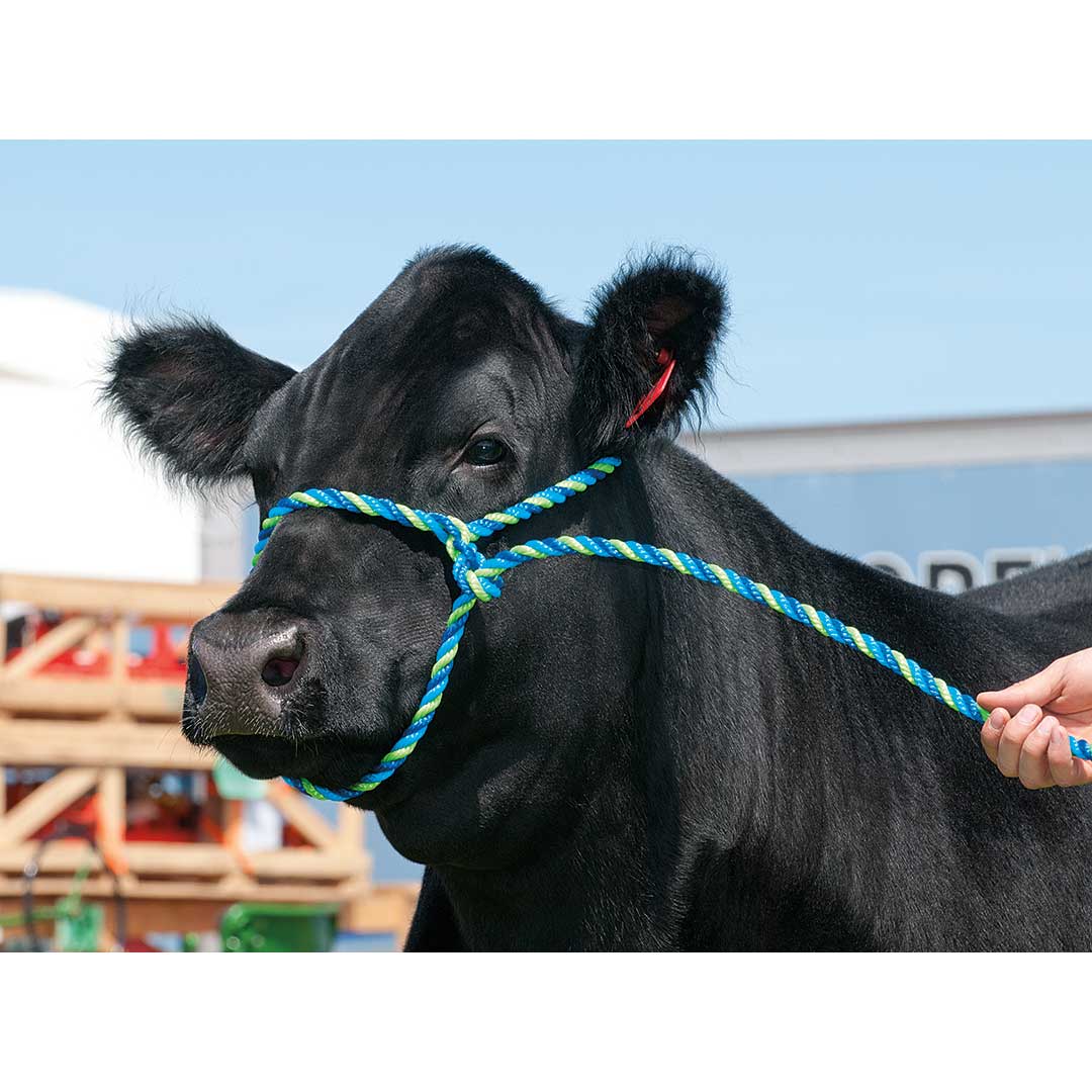 Weaver Rope Cattle Halter - Image 2